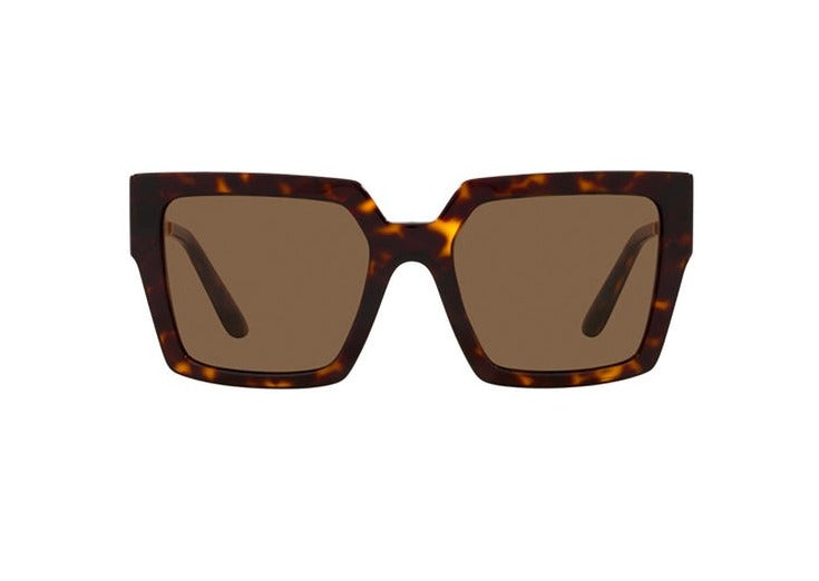 DOLCE&GABBANA 502/73 サングラス DG6030B DOLCE&GABBANA 64 17 125 3N 502/73 sunglasses Brown Women