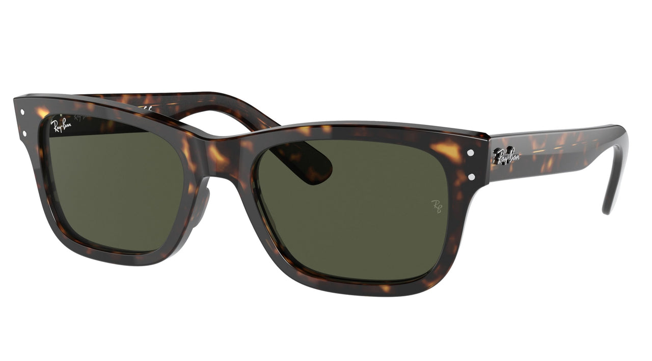 RAY BAN RB2283 902/31